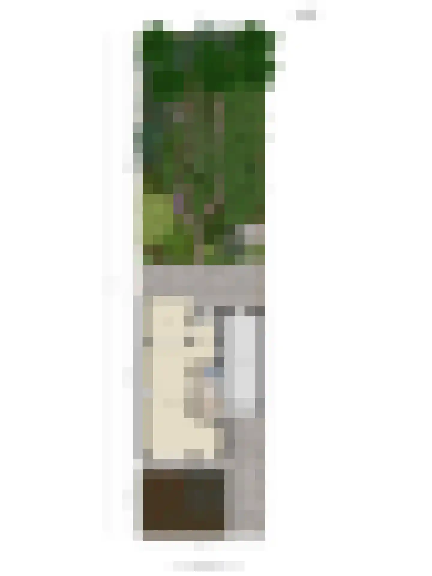 Barisakker 62 Nuenen thumbnail 35