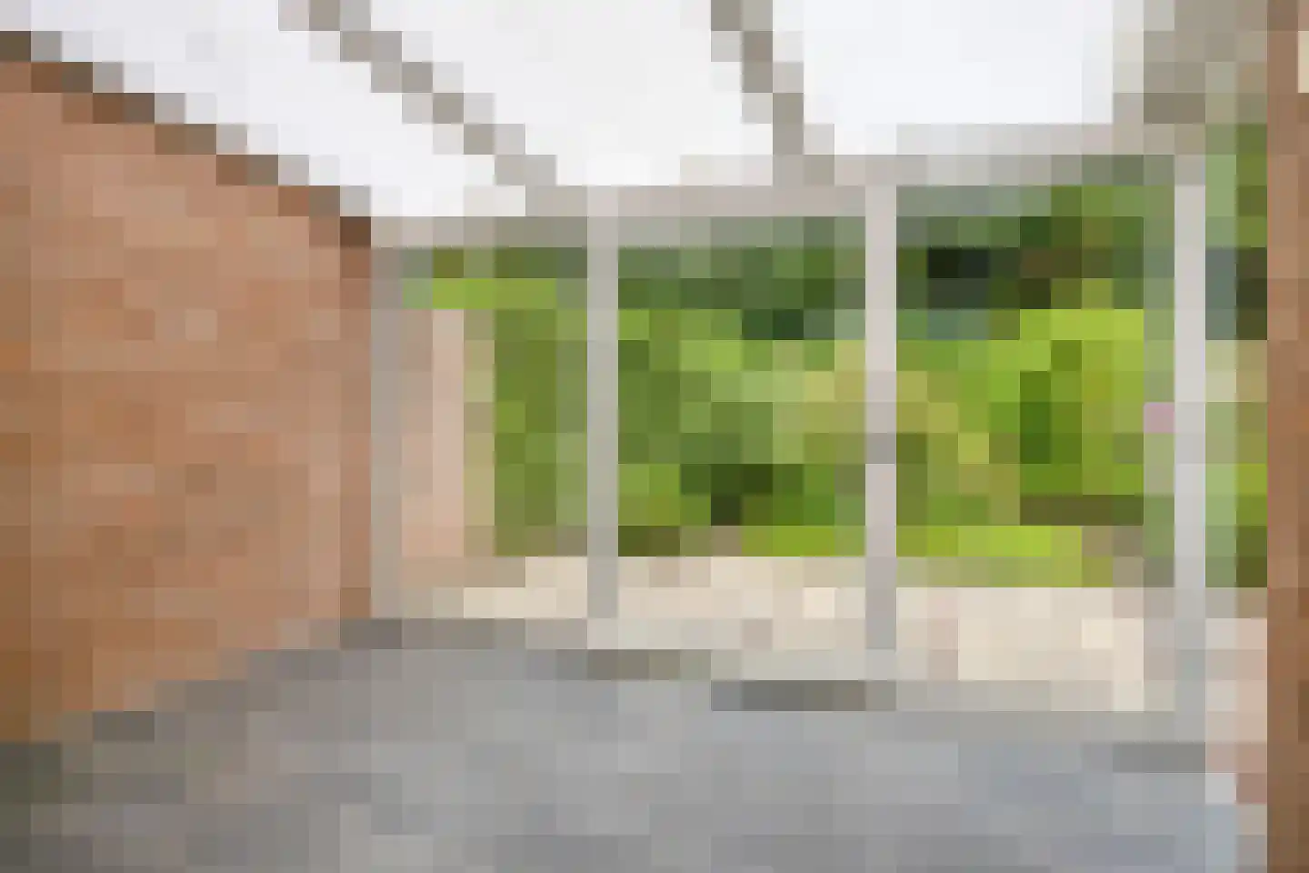 Barisakker 62 Nuenen thumbnail 7
