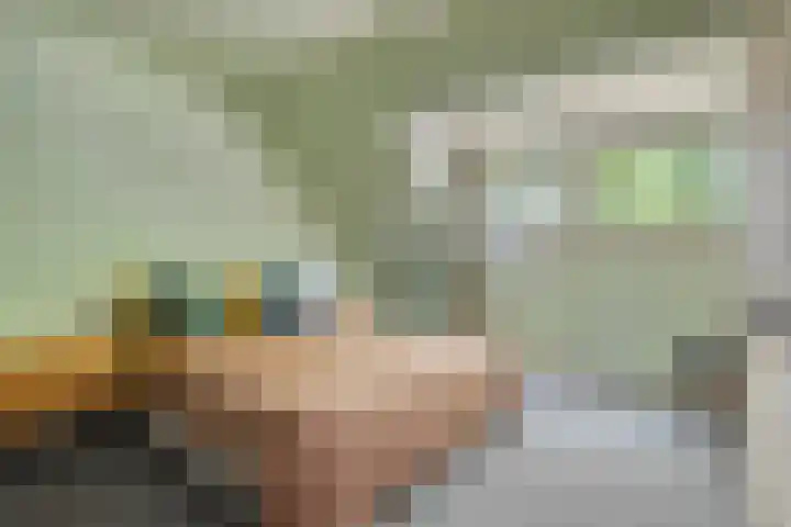 Barisakker 64 Nuenen thumbnail 13
