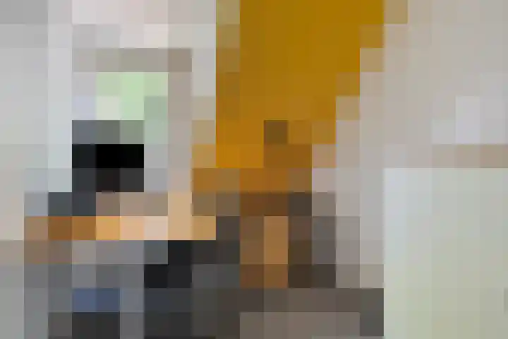 Barisakker 64 Nuenen thumbnail 16