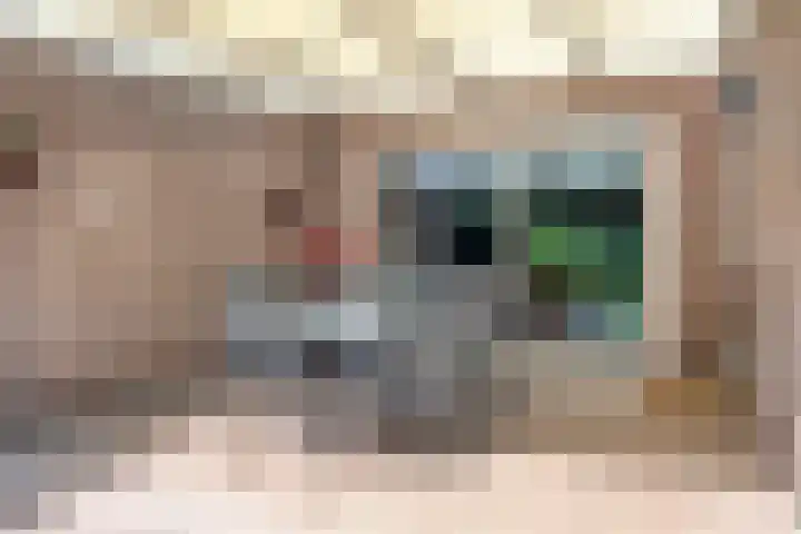 Barisakker 64 Nuenen thumbnail 24