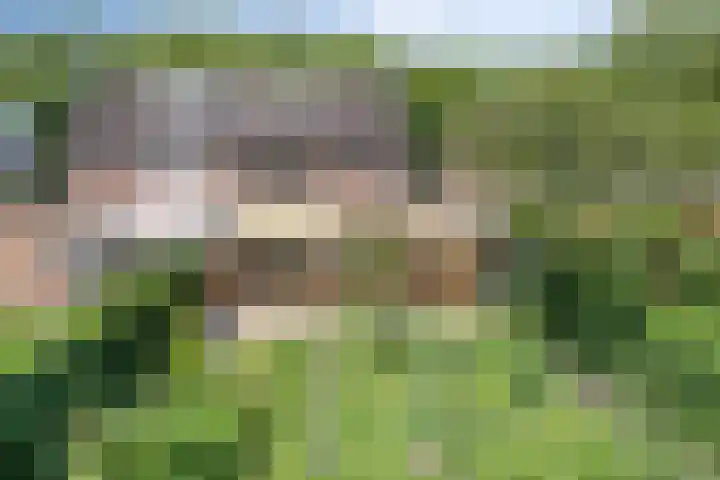 Barisakker 64 Nuenen thumbnail 25