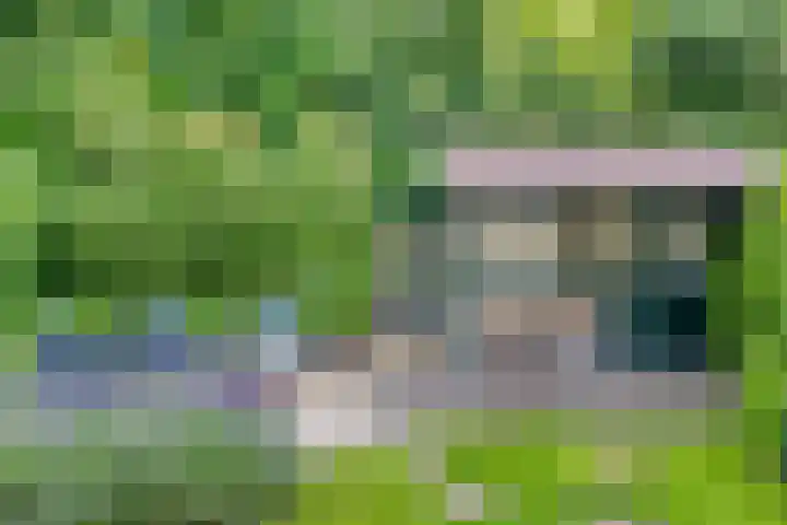 Barisakker 64 Nuenen thumbnail 27
