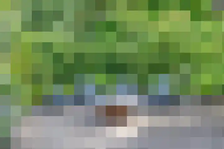 Barisakker 64 Nuenen thumbnail 28