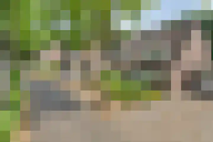 Barisakker 64 Nuenen thumbnail 31