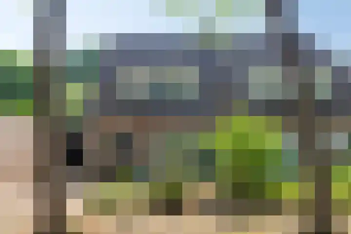 Barisakker 64 Nuenen thumbnail 32