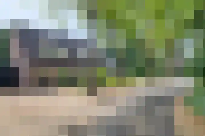 Barisakker 64 Nuenen thumbnail 33