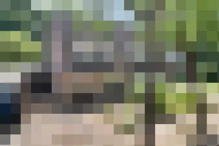 Barisakker 64 Nuenen thumbnail 34