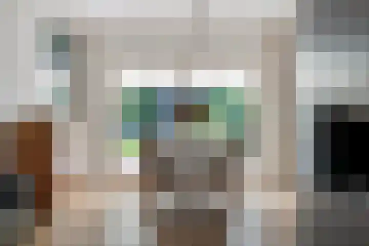 Barisakker 64 Nuenen thumbnail 8