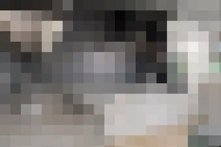 Barisakker 64 Nuenen thumbnail 9