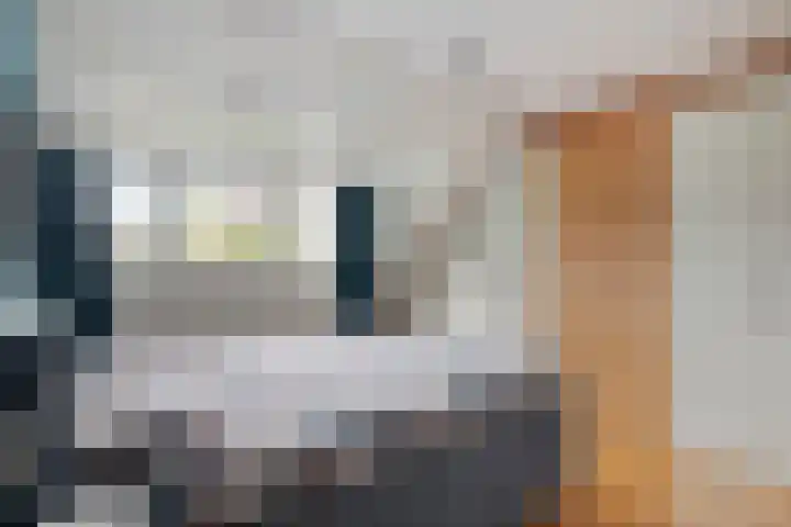 Barisakker 71 Nuenen thumbnail 11