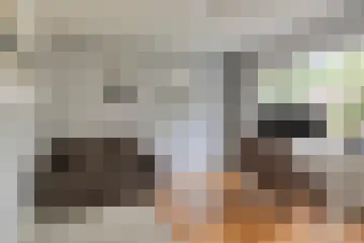 Barisakker 71 Nuenen thumbnail 13