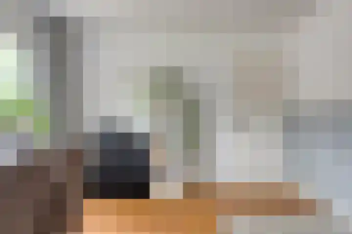 Barisakker 71 Nuenen thumbnail 14