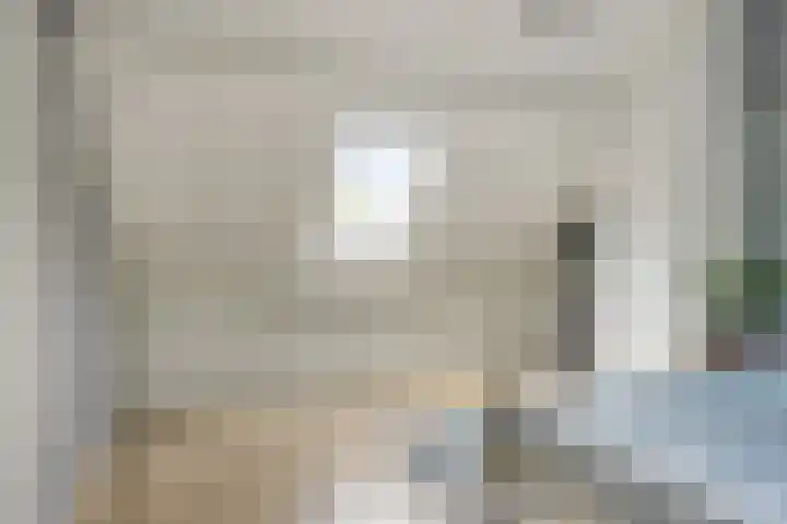 Barisakker 71 Nuenen thumbnail 20
