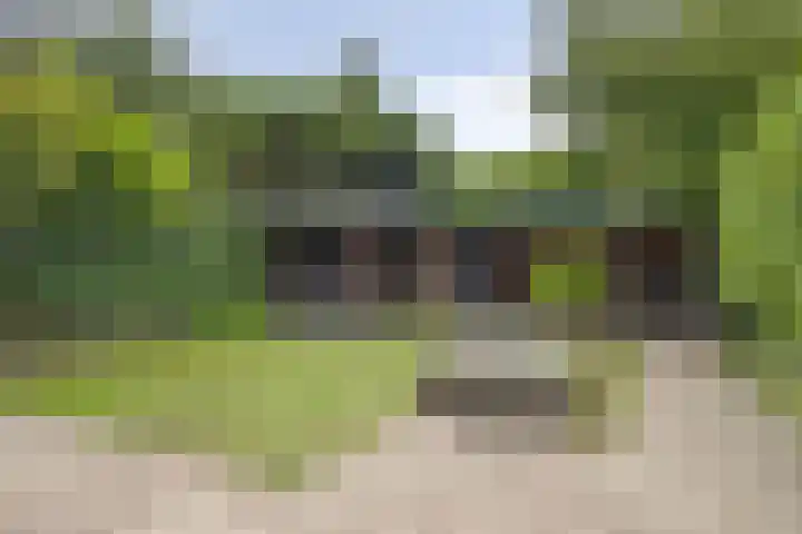 Barisakker 71 Nuenen thumbnail 21