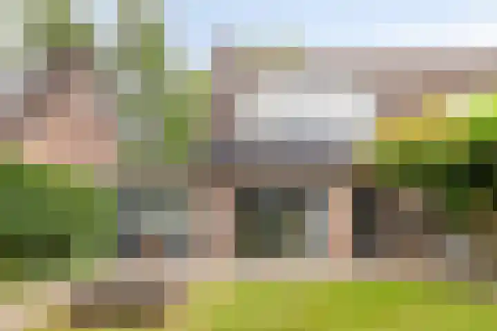 Barisakker 71 Nuenen thumbnail 22