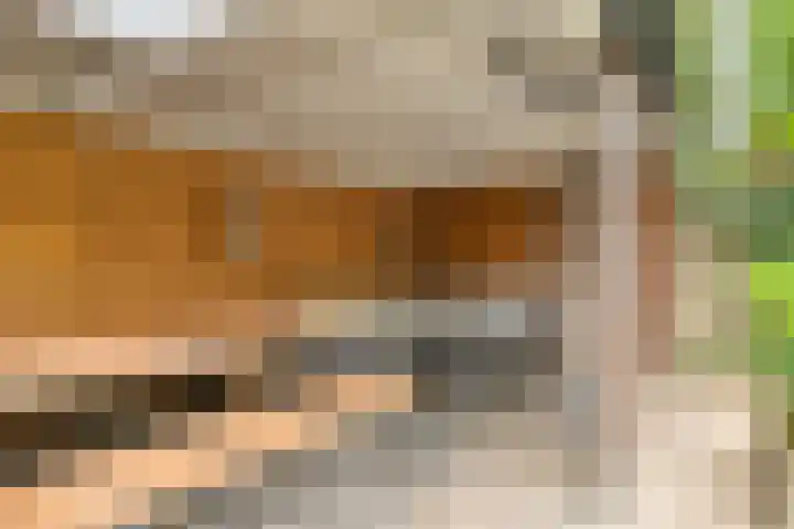 Barisakker 71 Nuenen thumbnail 23