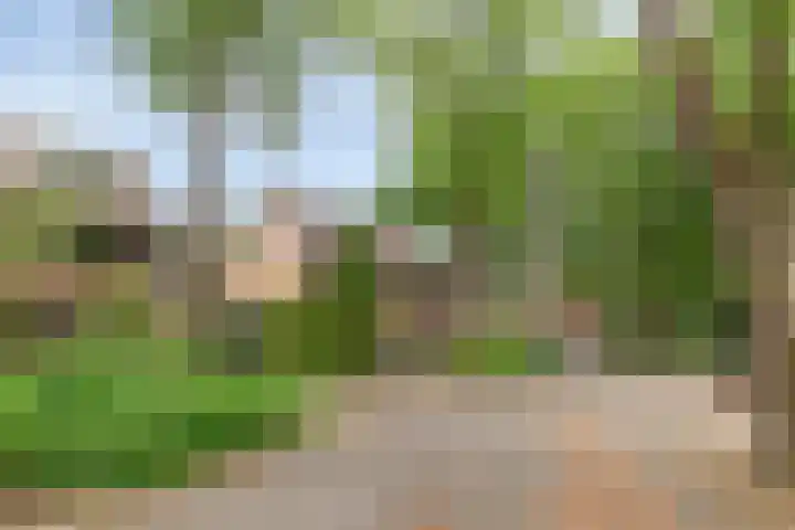 Barisakker 71 Nuenen thumbnail 24