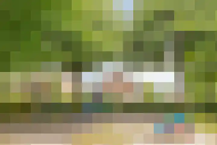 Barisakker 71 Nuenen thumbnail 25