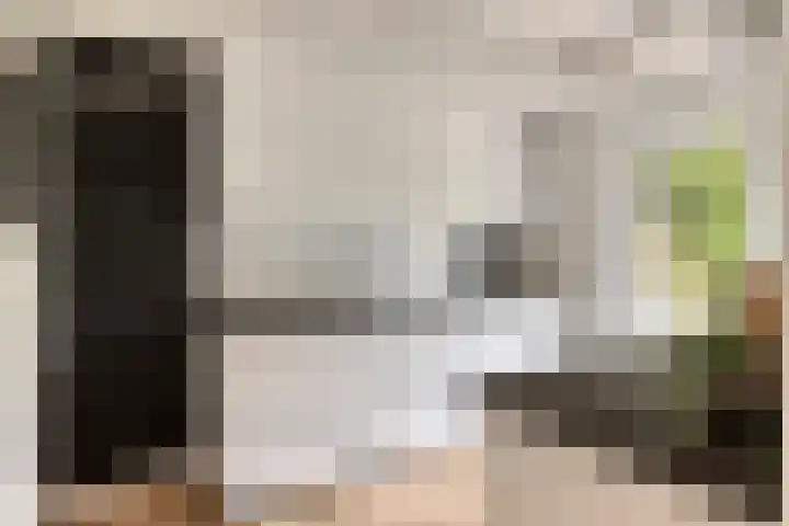 Barisakker 71 Nuenen thumbnail 8