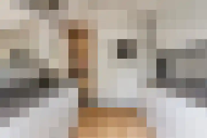 Barisakker 71 Nuenen thumbnail 9