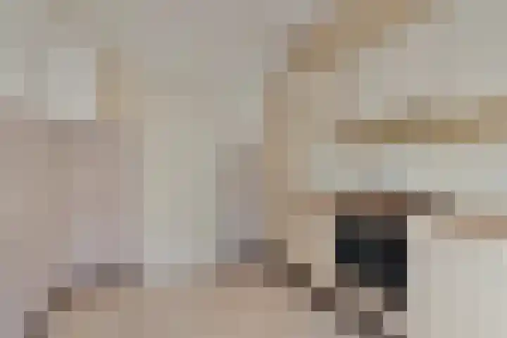 Baristraat 69 Eindhoven thumbnail 12