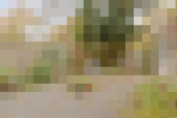 Baristraat 69 Eindhoven thumbnail 30