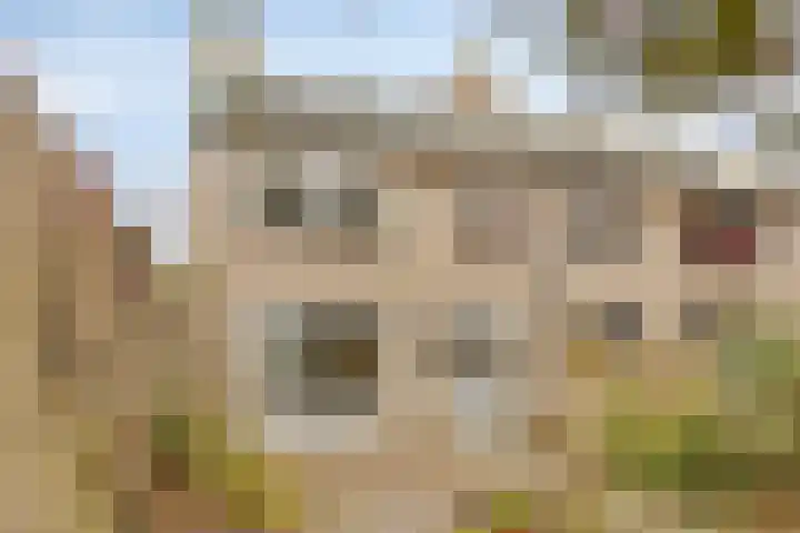 Baristraat 69 Eindhoven thumbnail 31