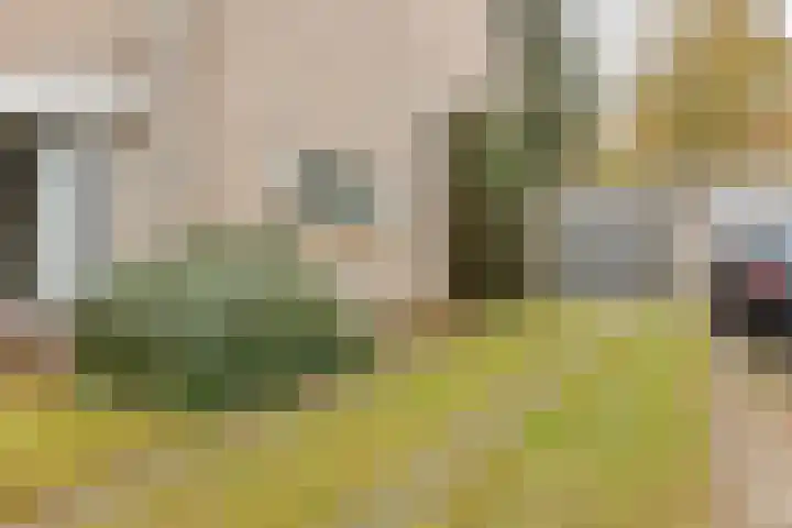 Baristraat 69 Eindhoven thumbnail 5