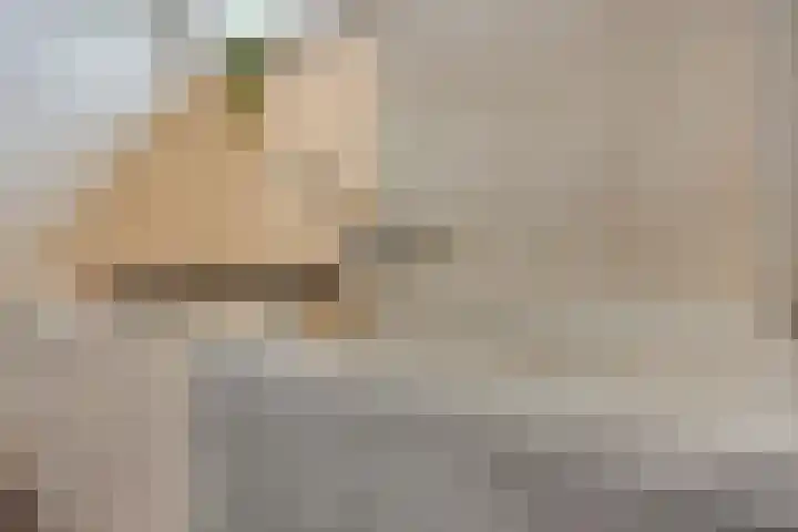 Baristraat 70 Eindhoven thumbnail 14