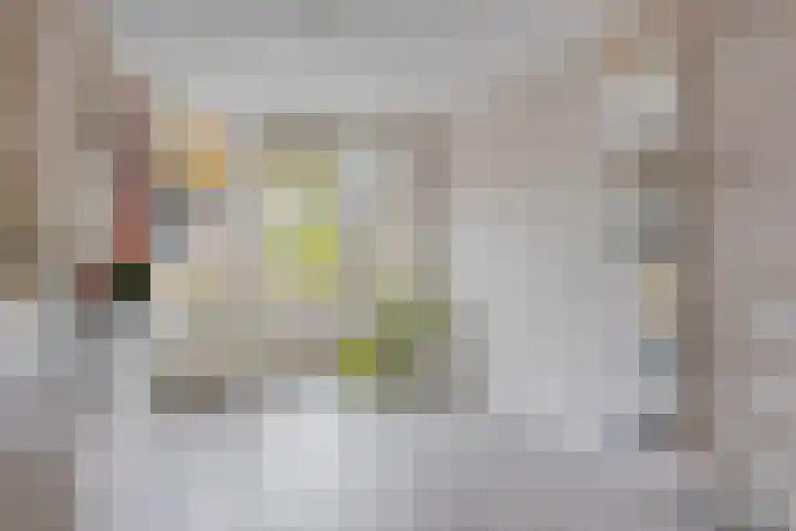 Baristraat 70 Eindhoven thumbnail 15