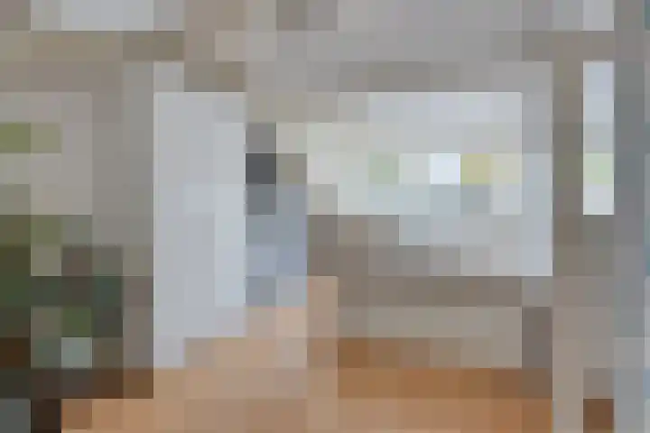 Baristraat 70 Eindhoven thumbnail 18