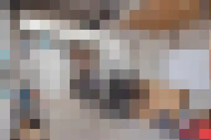 Baristraat 70 Eindhoven thumbnail 24