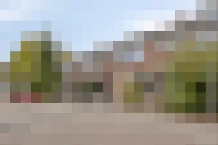 Baristraat 70 Eindhoven thumbnail 26