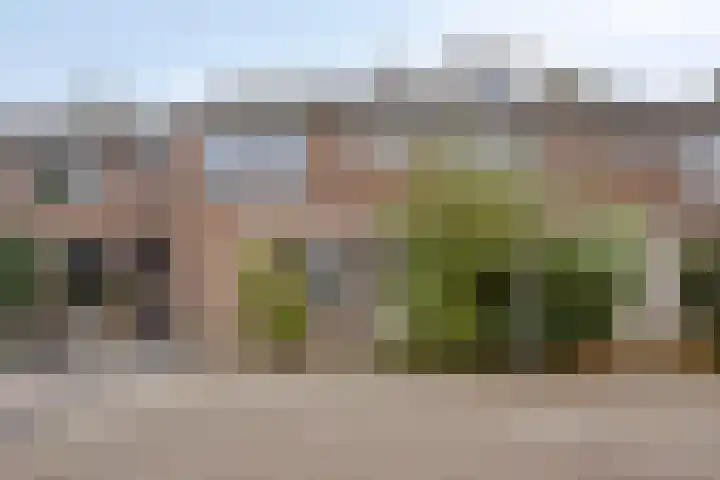 Baristraat 70 Eindhoven thumbnail 27