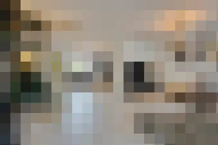 Baristraat 70 Eindhoven thumbnail 4