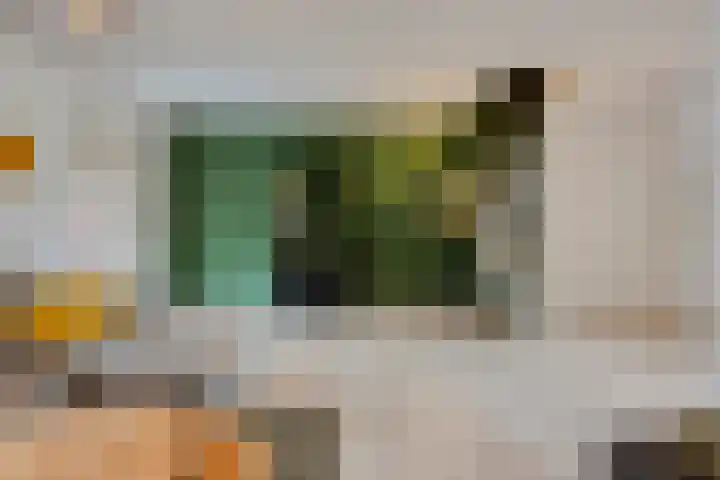 Baristraat 70 Eindhoven thumbnail 5