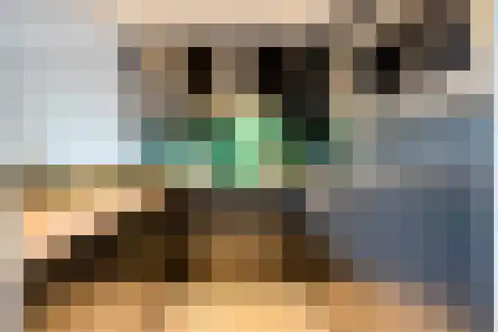 Baristraat 70 Eindhoven thumbnail 7