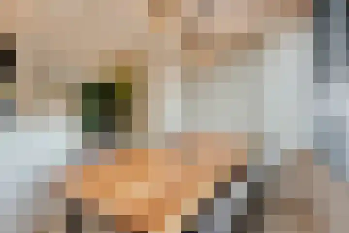 Baristraat 70 Eindhoven thumbnail 8