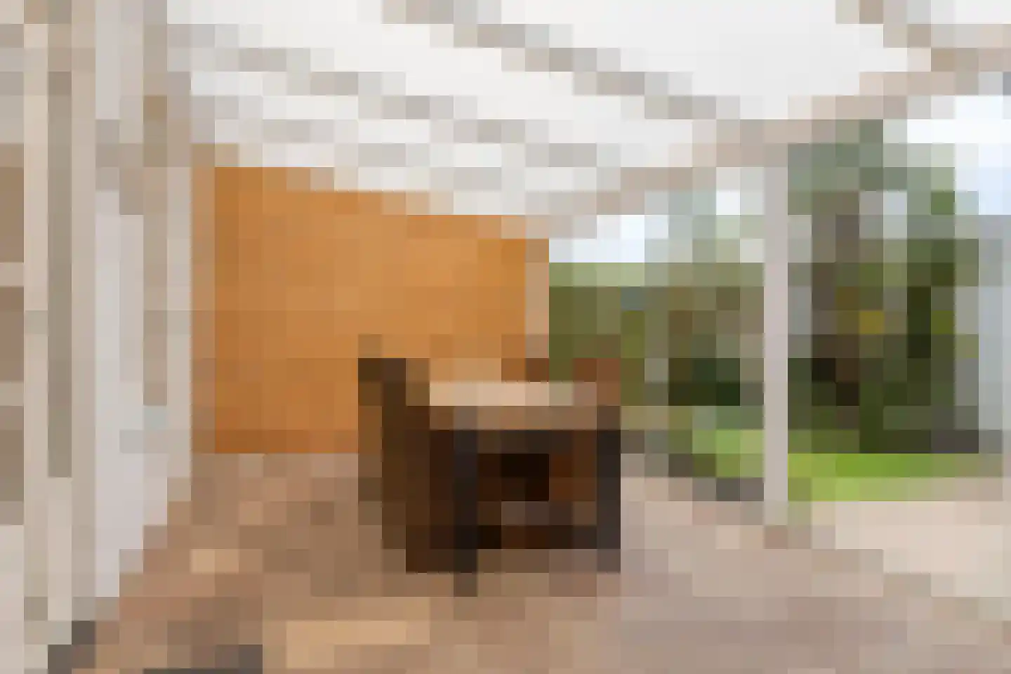 Baritonstraat 61 Helmond thumbnail 27