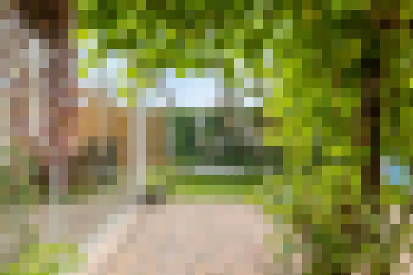 Baritonstraat 61 Helmond thumbnail 34