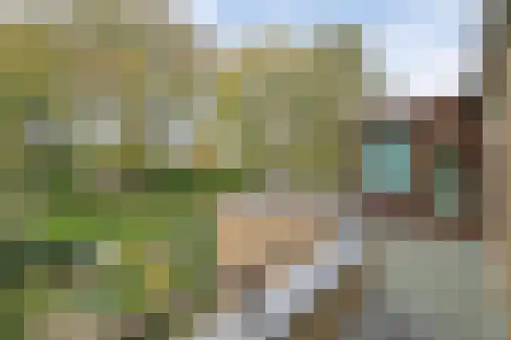 Bark 136 Barendrecht thumbnail 31