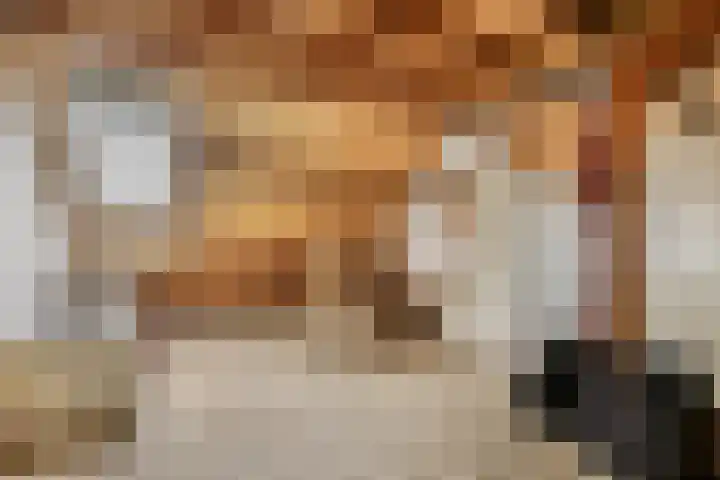 Bark 136 Barendrecht thumbnail 38