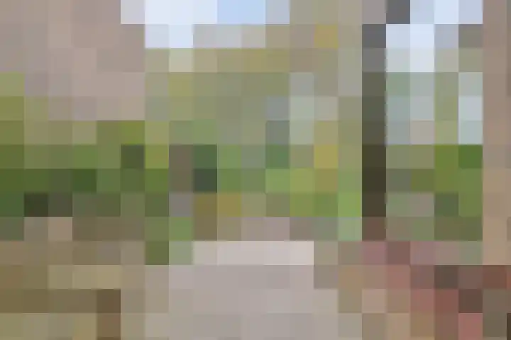 Bark 136 Barendrecht thumbnail 40