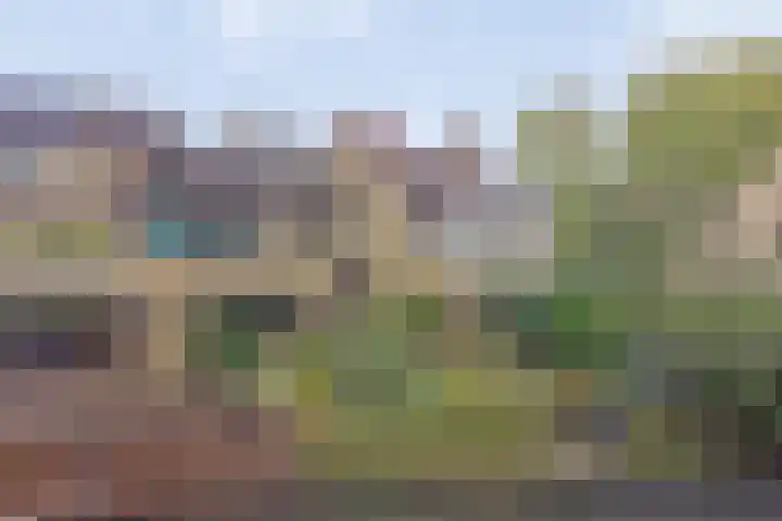 Bark 136 Barendrecht thumbnail 43