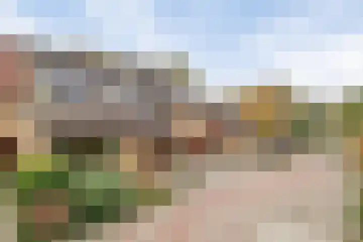 Bark 136 Barendrecht thumbnail 50
