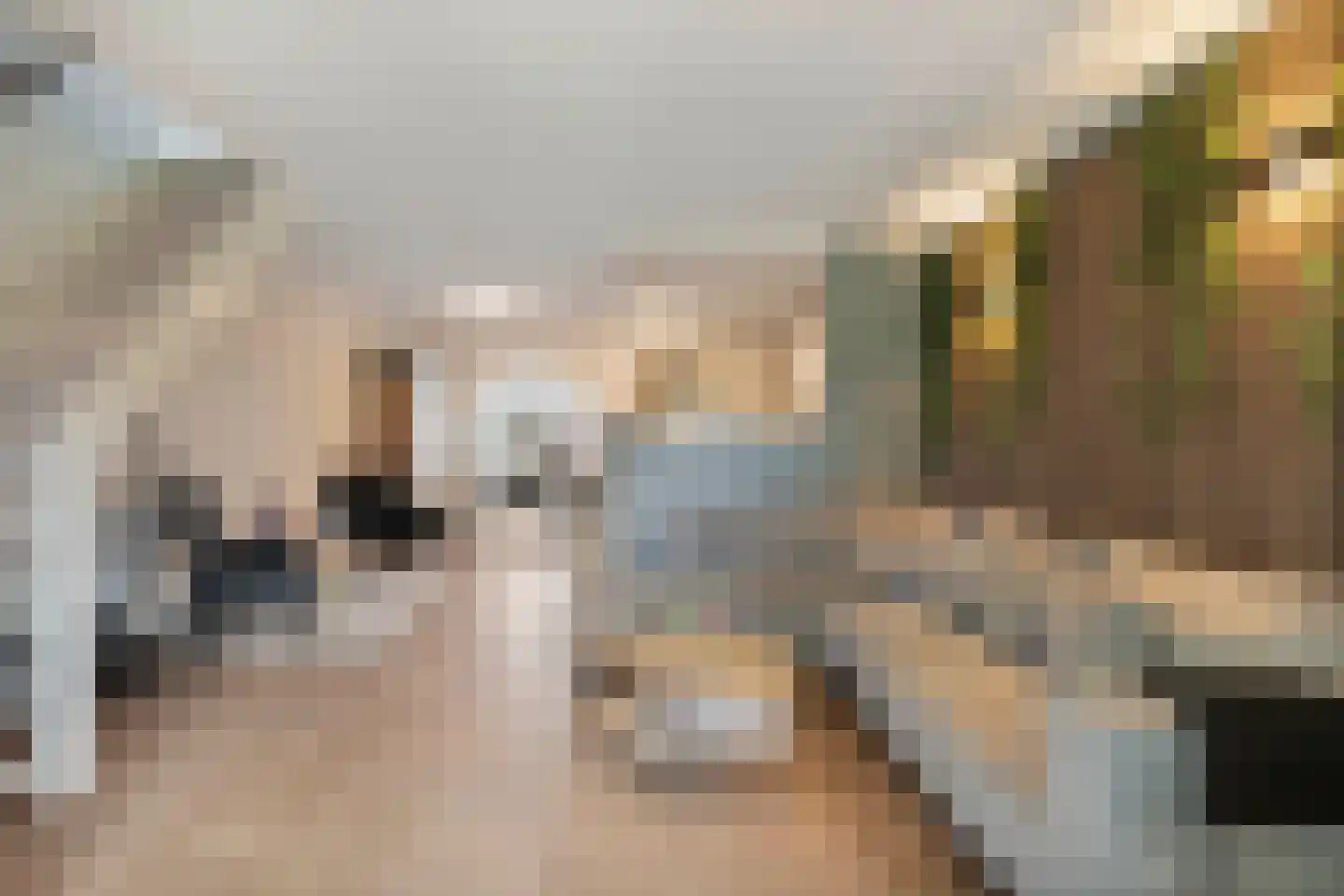 Bark 15 Wieringerwerf thumbnail 10
