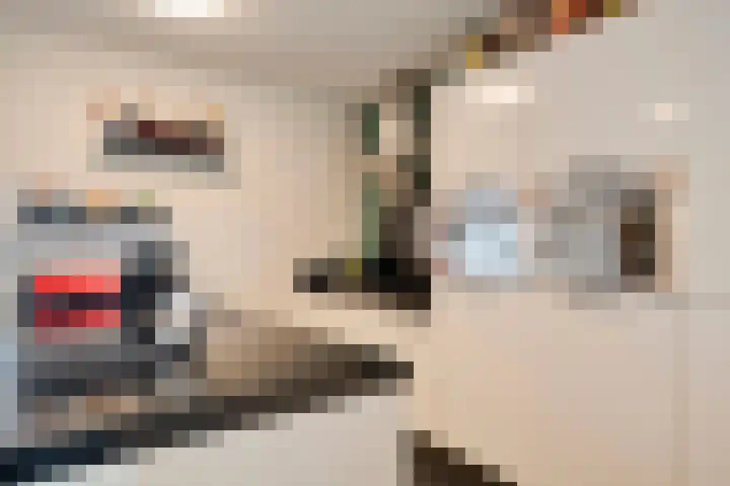 Bark 15 Wieringerwerf thumbnail 11
