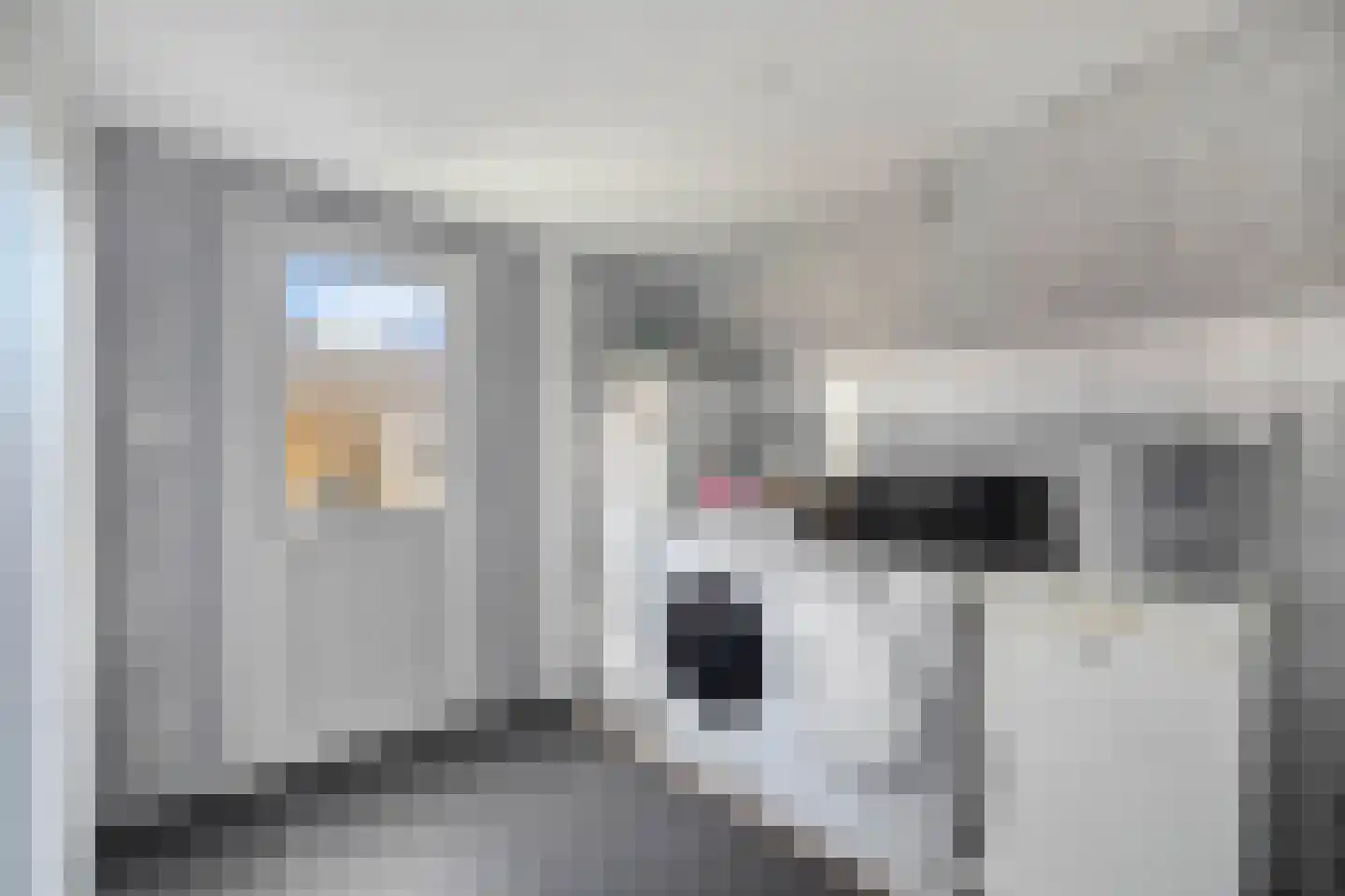 Bark 15 Wieringerwerf thumbnail 14