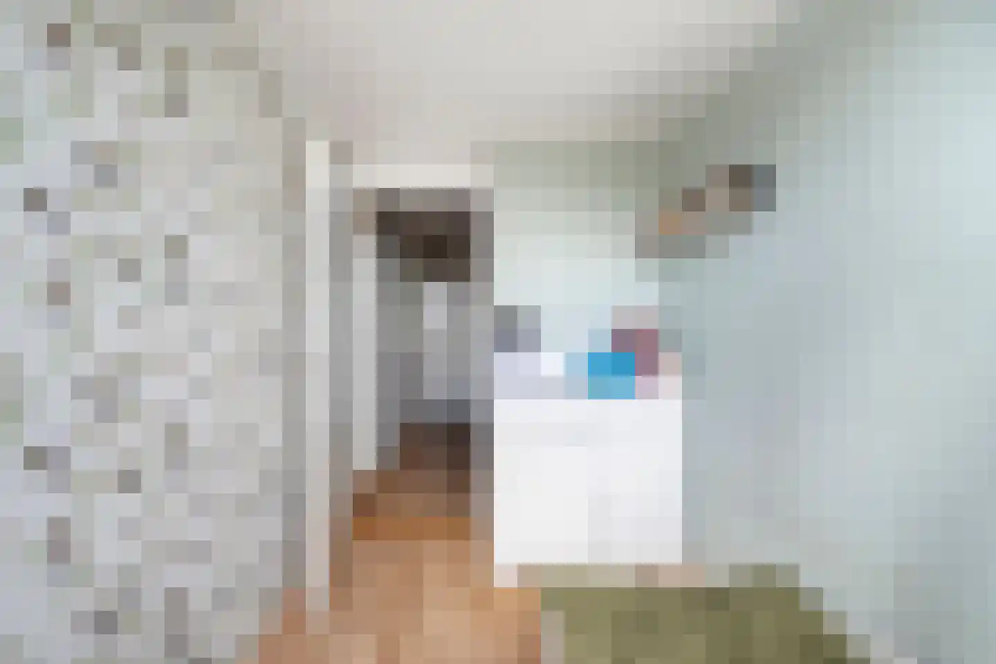 Bark 15 Wieringerwerf thumbnail 18